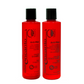 Anti-Frizz 2x236ml